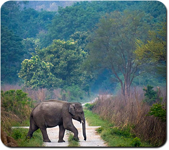 Jim Corbett Tour